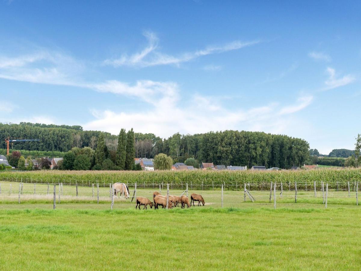 Stunning Holiday Home In Oombergen With Terrace And Garden Holiday home